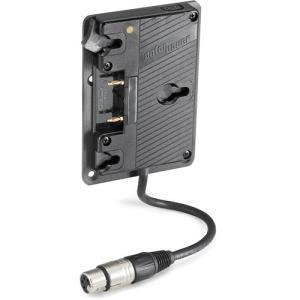 Anton/Bauer Gold Mount Plate with XLR Cable for VESA Pattern