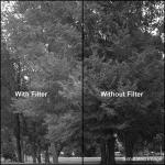 Tiffen 52mm Dark Green #61 Filter
