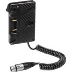 Anton/Bauer QRC-Dual PT Gold Mount for Sony PMW-F3