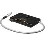 Anton/Bauer Mounting Plate with D-Tap Port for Canon EOS C300 Mark II (Gold Mount)