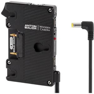 Anton/Bauer Pro Gold Mount Battery Bracket with Canon C Series DC Barrel Output