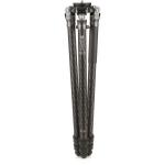 Benro Mammoth 3-Section Carbon Fiber Tripod