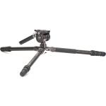 Benro Tortoise 4-Section Tripod with FS36PRO Head (Carbon Fiber)