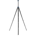 Benro CyanBird 2 Aluminum Tripod with G36PT Inverted Ball Head