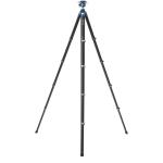 Benro CyanBird 2 Carbon Fiber Tripod with G36PT Inverted Ball Head