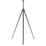 Benro CyanBird 2 Carbon Fiber Tripod with G36PT Inverted Ball Head