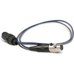 AJA Male Mini-Con-X to Female Mini-XLR Adapter Cable (12")