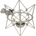 Neumann TLM 67 Set Z Large-Diaphragm Multipattern Condenser Microphone with Accessories