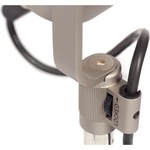 Neumann U 47 fet i Large-Diaphragm Cardioid Condenser Microphone