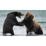 Sony a9 II Mirrorless Camera