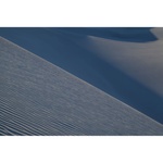 Sony FE 20-70mm f/4 G Lens (Sony E)