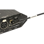 Cable Techniques 3.5mm TRS Right Angle to Two 3-Pin XLR Male Tape Output Y-Cable Adapter for Sound Devices (24")