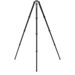 Benro Mammoth Carbon Fiber Tripod