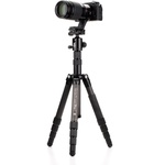 Benro GlobeTrotter Pro Carbon Fiber Travel Tripod with Photo Ball Head (Black)