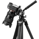 Fotopro Pantour Origin Plus Video Tripod (Black)