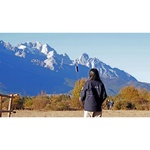 Tilta Full Camera Cage for Insta360 X3 (Pink)