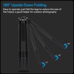 Fotopro X-75C Carbon Fiber Tripod with Ball Head