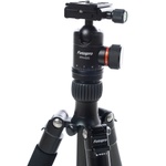 Fotopro X-GO Plus Carbon Fiber Tripod Kit with FPH-52Q Ball Head (Black)