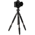 Benro CLT204 2-Series Induro Classic Carbon Fiber Tripod