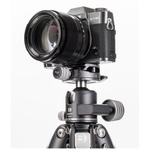 Benro GX30 Two Series Arca-Type Low Profile Aluminum Ball Head