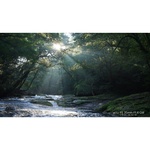 Sony FE 35mm f/1.4 GM Lens