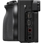 Sony a6600 Mirrorless Camera