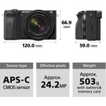 Sony a6600 Mirrorless Camera with 18-135mm Lens