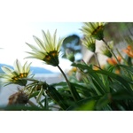 Sony FE 16-35mm f/2.8 GM II Lens (Sony E)