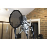 Neumann M 150 Tube Microphone