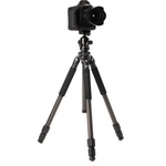 Benro CLT203 2-Series Induro Classic Carbon Fiber Tripod