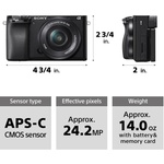 Sony a6100 Mirrorless Camera
