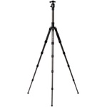 Benro GlobeTrotter Pro Carbon Fiber Travel Tripod with Photo Ball Head (Black)