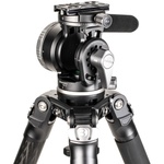 Benro Mammoth Carbon Fiber Tripod with WH15 Wildlife Head