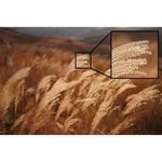 Sony FE 50mm f/1.2 GM Lens (Sony E)