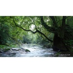 Sony FE 35mm f/1.4 GM Lens