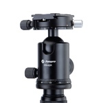 Fotopro X-65C Tripod+FPH-62R Ball Head