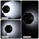 Ulanzi Quick Release Octagon Softbox with Bowens Mount (23.6")