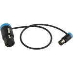 Cable Techniques CT-LPS-FX3T-12B Low-Profile LPXLR-3F to TA3F Cable (12", Blue)