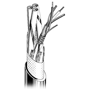 Canare DA202AT AES/EBU Digital Audio Cable (328.08'/100 m)