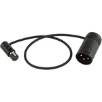 Cable Techniques CT-LPS-3TMX Low-Profile TA3F to LXPXLR-3M Cable (12", Black)